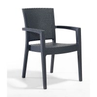 Paris Arm Chair Grey